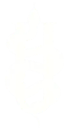 Unique Skin Logo