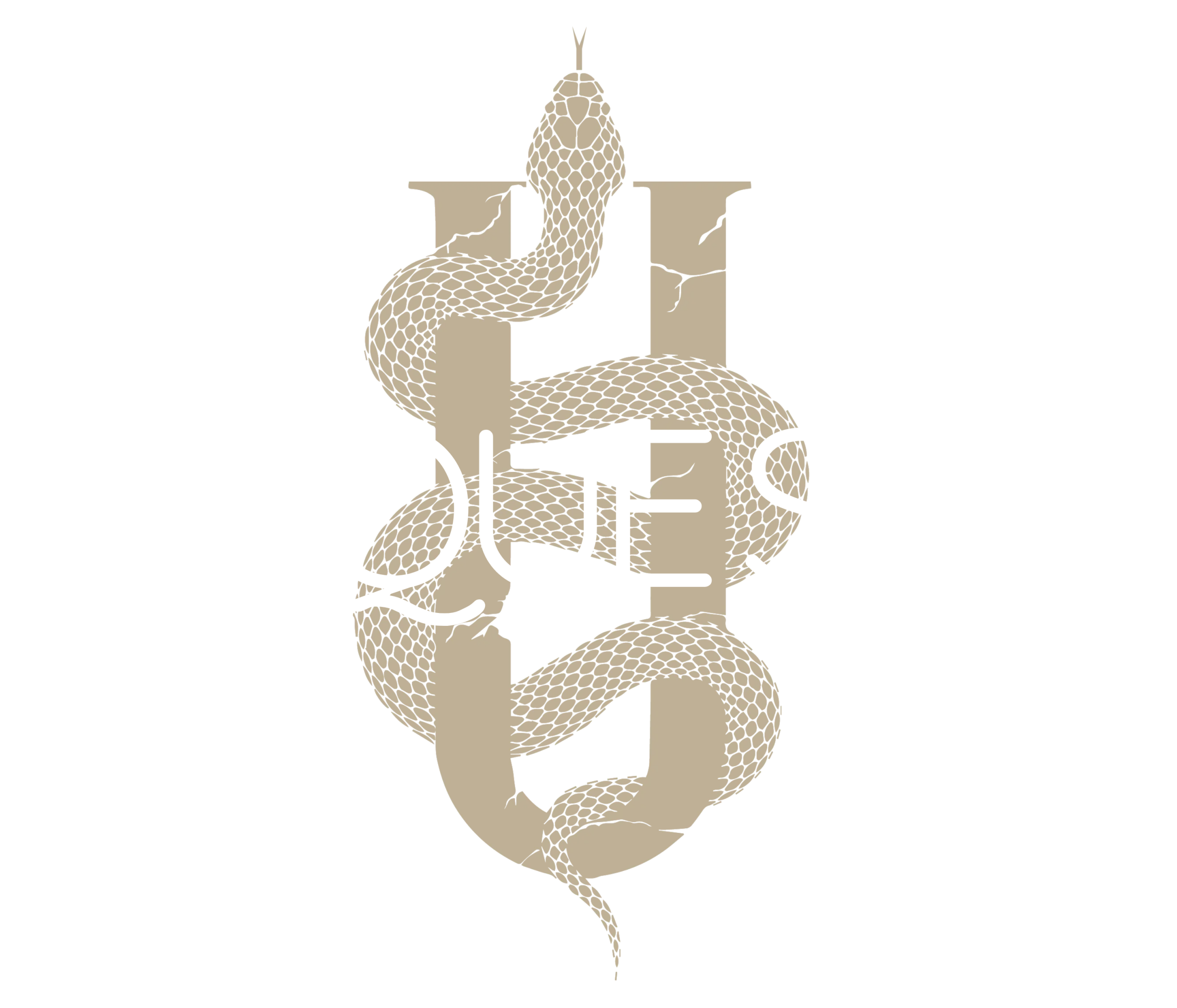 Unique-Skin